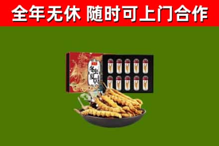 宁乡回收冬虫夏草价格